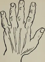 An illustration from Perin's science of palmistry; a complete and authentic treatise (1902)