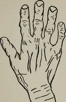 An illustration from Perin's science of palmistry; a complete and authentic treatise (1902)