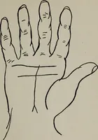 An illustration from Perin's science of palmistry; a complete and authentic treatise (1902)