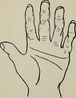 An illustration from Perin's science of palmistry; a complete and authentic treatise (1902)