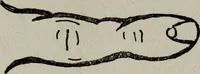 An illustration from Perin's science of palmistry; a complete and authentic treatise (1902)