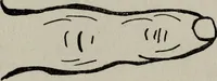 An illustration from Perin's science of palmistry; a complete and authentic treatise (1902)