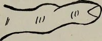 An illustration from Perin's science of palmistry; a complete and authentic treatise (1902)