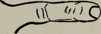 An illustration from Perin's science of palmistry; a complete and authentic treatise (1902)