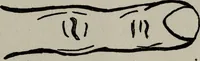 An illustration from Perin's science of palmistry; a complete and authentic treatise (1902)