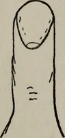 An illustration from Perin's science of palmistry; a complete and authentic treatise (1902)