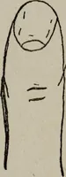 An illustration from Perin's science of palmistry; a complete and authentic treatise (1902)