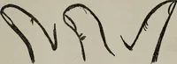An illustration from Perin's science of palmistry; a complete and authentic treatise (1902)