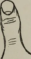 An illustration from Perin's science of palmistry; a complete and authentic treatise (1902)