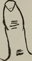 An illustration from Perin's science of palmistry; a complete and authentic treatise (1902)