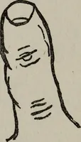 An illustration from Perin's science of palmistry; a complete and authentic treatise (1902)