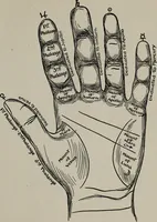 An illustration from Perin's science of palmistry; a complete and authentic treatise (1902)