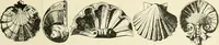 An illustration from Period decoration (1901)