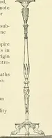 An illustration from Period decoration (1901)