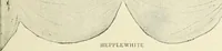 An illustration from Period decoration (1901)