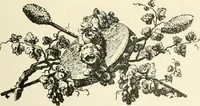 An illustration from Period decoration (1901)