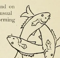 Picture 133 of 144 from Period decoration (1901), leaf 233