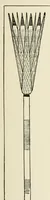 An illustration from Period decoration (1901)