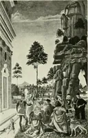 An illustration from Pérouse (1914)