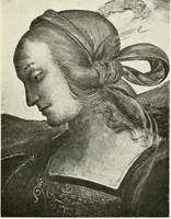 An illustration from Pérouse (1914)