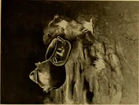 An illustration from Persia past and present; a book of travel and research, with more than two hundred illustrations and a map (1906)