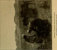 Picture 60 of 211 from Persia past and present; a book of travel and research, with more than two hundred illustrations and a map (1906), leaf 222