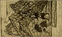 Picture 74 of 211 from Persia past and present; a book of travel and research, with more than two hundred illustrations and a map (1906), leaf 266