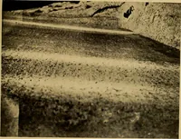 Picture 93 of 211 from Persia past and present; a book of travel and research, with more than two hundred illustrations and a map (1906), leaf 344