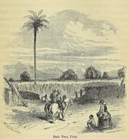 Picture 9 of 10 from Personal narrative of explorations and incidents in Texas, New Mexico, California, Sonora, and Chihuahua : connected with the United States and Mexican Boundary Commission, during the years 1850, '51, '52, and '53 (1854), leaf 499