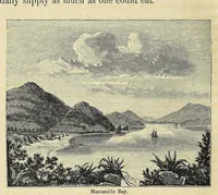 Picture 10 of 10 from Personal narrative of explorations and incidents in Texas, New Mexico, California, Sonora, and Chihuahua : connected with the United States and Mexican Boundary Commission, during the years 1850, '51, '52, and '53 (1854), leaf 562