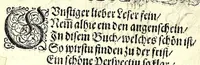 An illustration from Perspectiuische Reiss Kunst (1625)