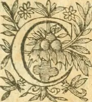 An illustration from Perspective cilindriqve et coniqve; ov, Traicte' des apparences veuës par le moyen des miroirs cilindriques & côniques, soient conuexes ou concaues; ensemble la construction & position des figures obiectées au [sic] mesmes miroirs, afin que leurs apparences soient conformes à la volonté (1630)