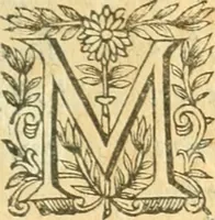 An illustration from Perspective cilindriqve et coniqve; ov, Traicte' des apparences veuës par le moyen des miroirs cilindriques & côniques, soient conuexes ou concaues; ensemble la construction & position des figures obiectées au [sic] mesmes miroirs, afin que leurs apparences soient conformes à la volonté (1630)