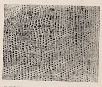 An illustration from Peruvian fabrics (1916)