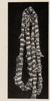 An illustration from Peruvian fabrics (1916)
