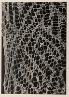 An illustration from Peruvian fabrics (1916)