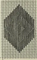 An illustration from Peruvian fabrics (1916)