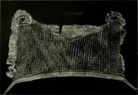 An illustration from Peruvian fabrics (1916)