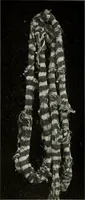 An illustration from Peruvian fabrics (1916)