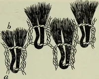 Picture 29 of 40 from Peruvian fabrics (1916), leaf 60