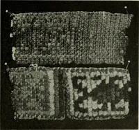 An illustration from Peruvian fabrics (1916)