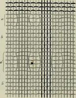 An illustration from Peruvian fabrics (1916)