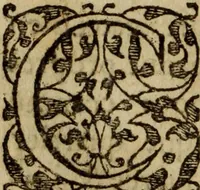 An illustration from Petit traicte et familier de la peste : contenant la description, les symptomes, & effects d'icelle, auec la methode, & remedes y requis, tant preseruatifs que curatifs (1615)