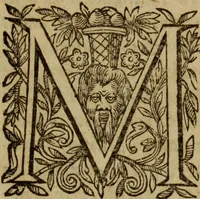 An illustration from Petit traicte et familier de la peste : contenant la description, les symptomes, & effects d'icelle, auec la methode, & remedes y requis, tant preseruatifs que curatifs (1615)