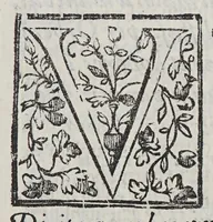 An illustration from Pet. Pauli Thomaelli Vtinensis Eclogae duae. : Quarum altera inscribitur meduacus o thrinon altera meduacus o iroton (1595)