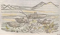 Picture 14 of 59 from Petri Andreae Matthioli ... Commentarii secvndo avcti, in libros sex Pedacii Dioscoridis Anazarbei, de medica materia : adiectis quamplurimis plantarum, & animalium imaginibus, quæ in priore editione non habentur, eodem auctore. His accessit eivsdem Apologia adversvs Amathum Lusitanum (1560), leaf 320