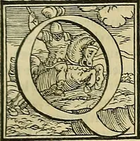 An illustration from Petri Andreae Matthioli Senensis serenissimi Principis Ferdinandi Archiducis Austriae & c., Medici, Commentarii secundo aucti : in libros sex Pedacii Dioscoridis Anazarbei de medica materia. Adiectis quàm plurimis plantarum, & animalium imaginibus quae in priore editione non habentur, eodem authore : his accessit eiusdem apologia adversus Amathum Lusitanum cum censura in eiusdem enarrationes (1558)