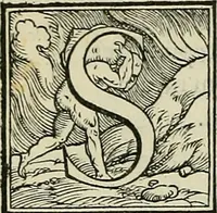 An illustration from Petri Andreae Matthioli Senensis serenissimi Principis Ferdinandi Archiducis Austriae & c., Medici, Commentarii secundo aucti : in libros sex Pedacii Dioscoridis Anazarbei de medica materia. Adiectis quàm plurimis plantarum, & animalium imaginibus quae in priore editione non habentur, eodem authore : his accessit eiusdem apologia adversus Amathum Lusitanum cum censura in eiusdem enarrationes (1558)