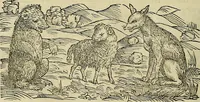 An illustration from Petri Andreae Matthioli Senensis serenissimi Principis Ferdinandi Archiducis Austriae & c., Medici, Commentarii secundo aucti : in libros sex Pedacii Dioscoridis Anazarbei de medica materia. Adiectis quàm plurimis plantarum, & animalium imaginibus quae in priore editione non habentur, eodem authore : his accessit eiusdem apologia adversus Amathum Lusitanum cum censura in eiusdem enarrationes (1558)