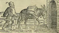 An illustration from Petri Andreae Matthioli Senensis serenissimi Principis Ferdinandi Archiducis Austriae & c., Medici, Commentarii secundo aucti : in libros sex Pedacii Dioscoridis Anazarbei de medica materia. Adiectis quàm plurimis plantarum, & animalium imaginibus quae in priore editione non habentur, eodem authore : his accessit eiusdem apologia adversus Amathum Lusitanum cum censura in eiusdem enarrationes (1558)